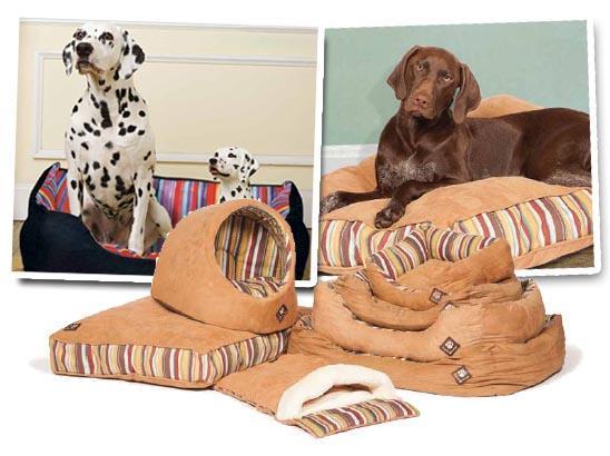 morroco-in-tivoli-lezisca