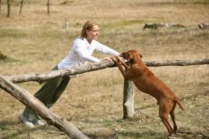 Foto: Fit s psom/Fit mit Hund® Slovenija