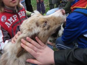 Foto: Vesna Hude