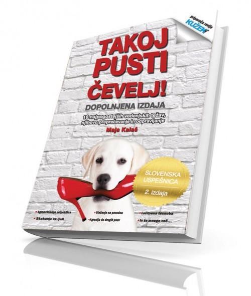 takoj-pusti-cevelj-3d-naslovnica copy