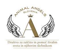 animal-angels