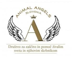 animal-angels-logo
