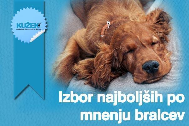 izbor-najboljsih