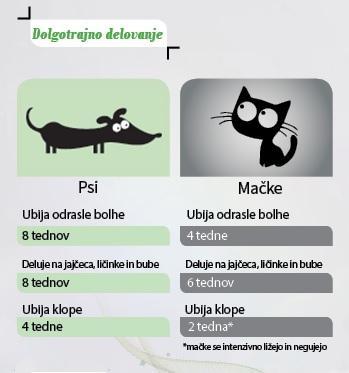 znebite-se-bolh-za-vedno-2