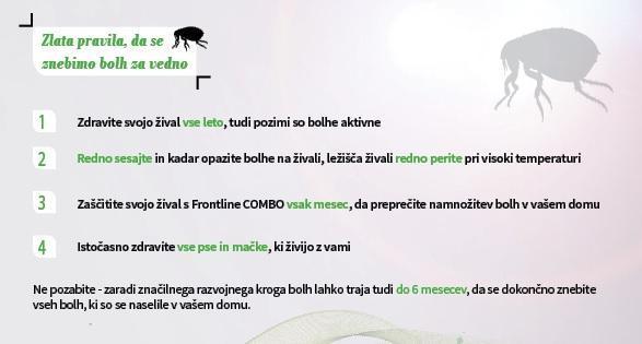 znebite-se-bolh-za-vedno-3