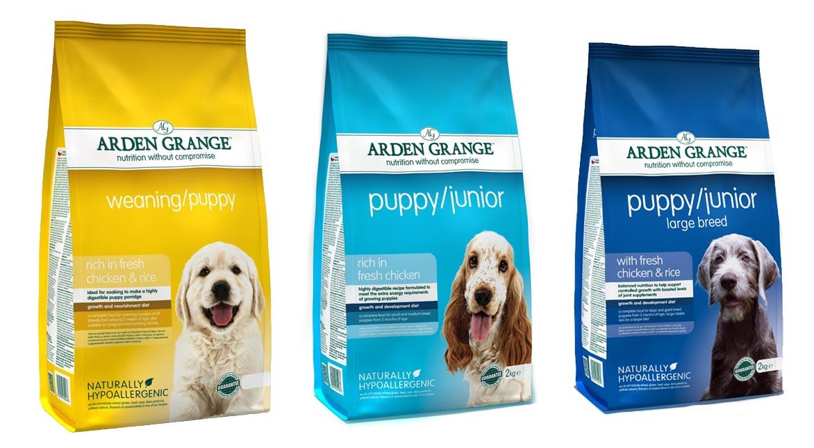 Arden-grange-puppy-junior