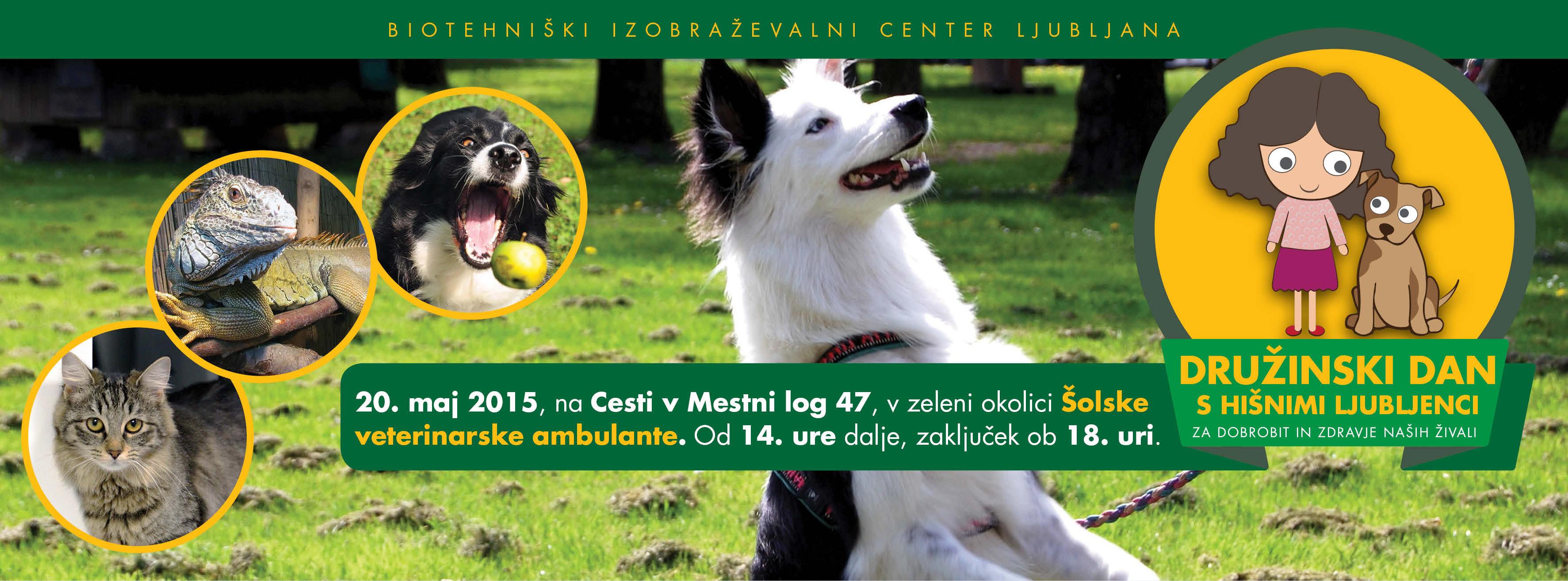 Druzinski-dan-s-hisnimi-ljubljenci