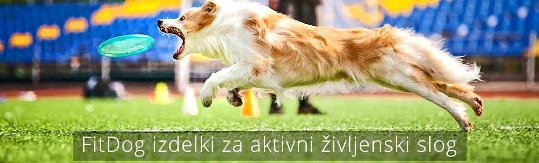 FitDog