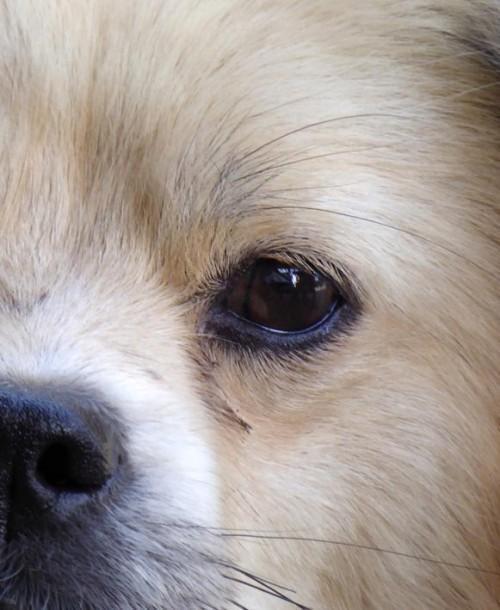 z-istim-ciljem-a-ne-skupaj