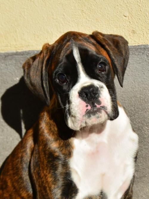 Floyd