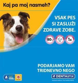 Pedigree_DENTASTIX-2016-Kuverta-360x298mm-v05-b