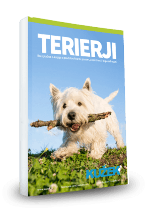 e-knjiga-terierji